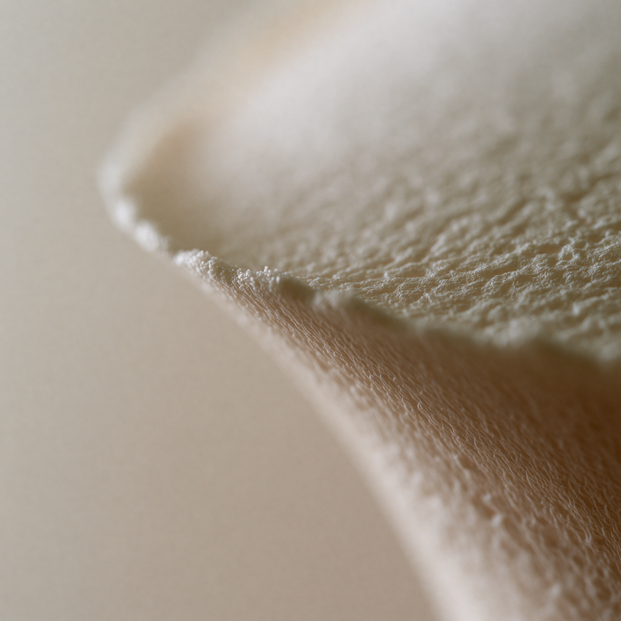 Extreme macro of a taut ivory membrane holding a soft, springy dome in raking light (no people, no product)