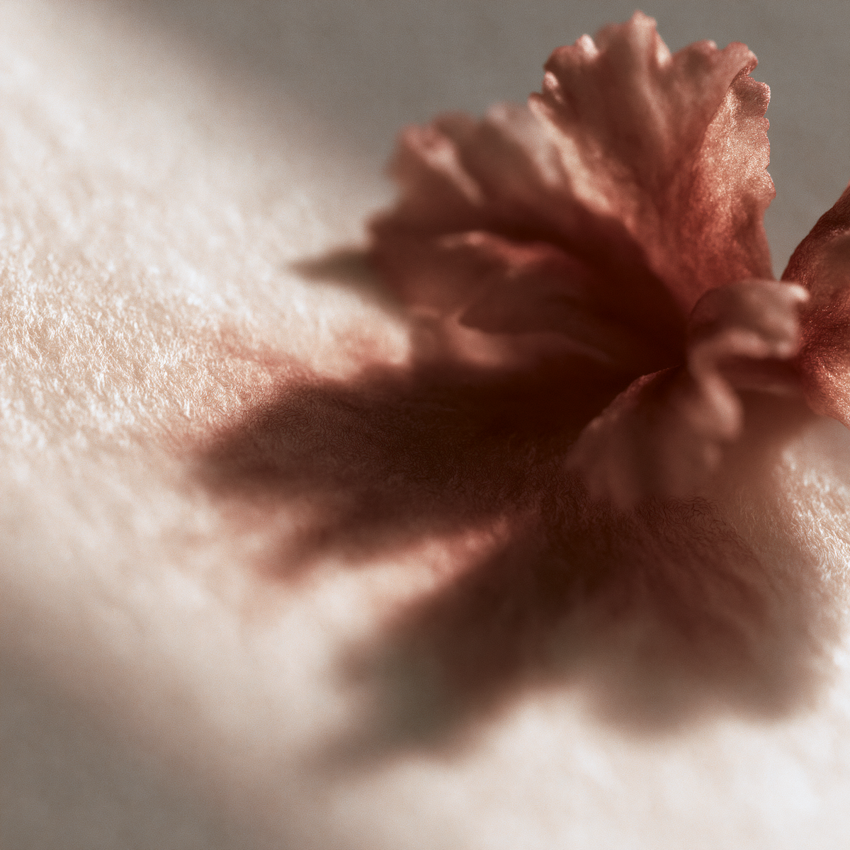 Menopausal facial redness — why does it flush so easily?